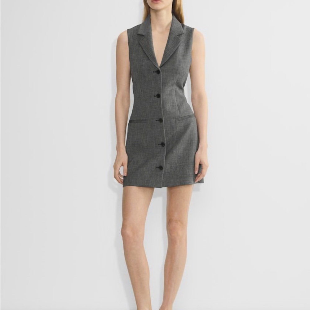 Aritzia Babaton Gray Mastermind Dress